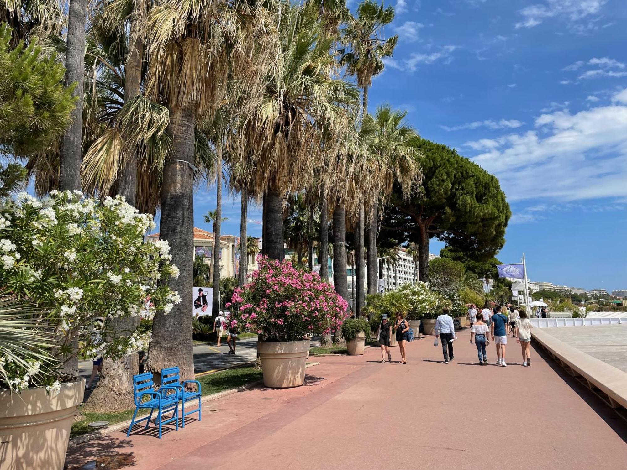 Beautiful Apartment Cannes Center Terrace Parking Esterno foto